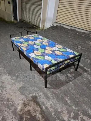 Single Bed with Mattress