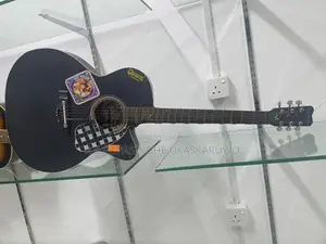 Givsan Guitar