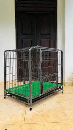 බලු කුඩුව