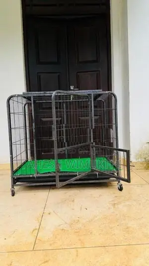 බලු කුඩුව