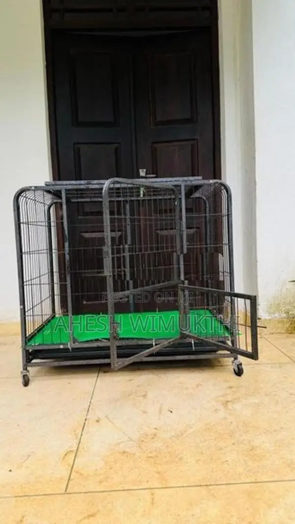 බලු කුඩුව
