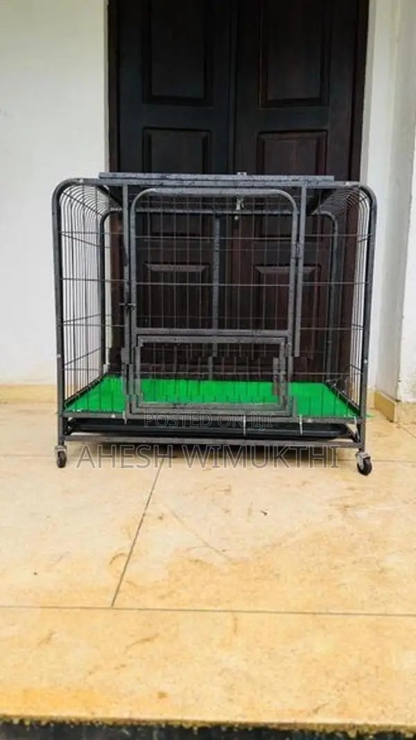 බලු කුඩුව