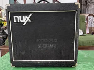 Nux 40w backamp
