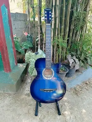 Brand new guitar