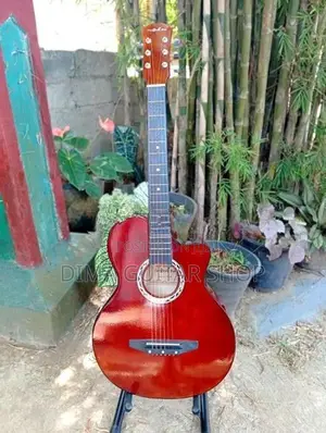 Brand new guitar