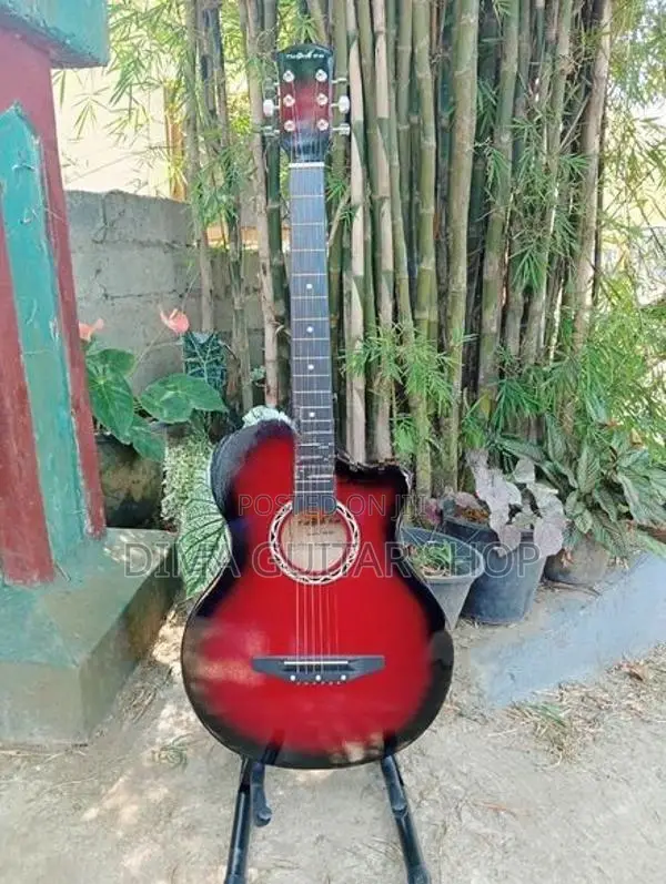 Brand new guitar