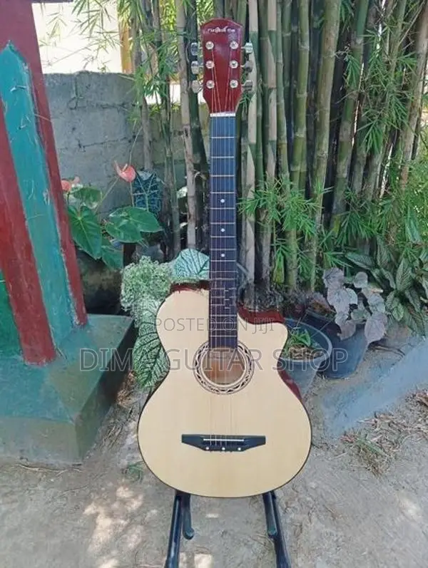 Brand new guitar