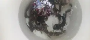 marble catfish