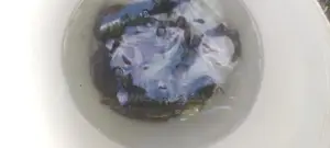 marble catfish