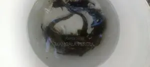 marble catfish