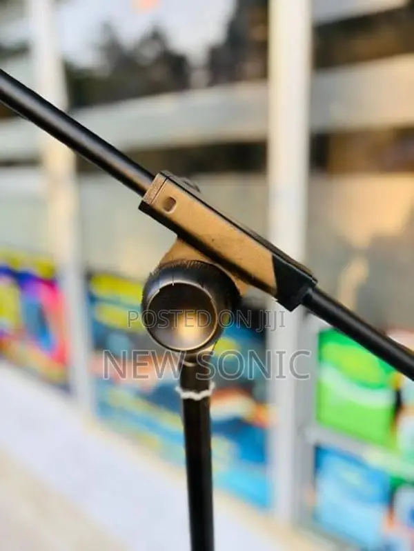Mic Stand Full Metal