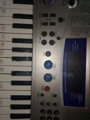 Casio Organ