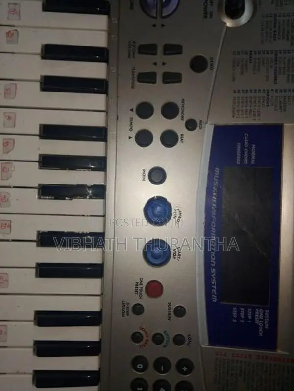 Casio Organ