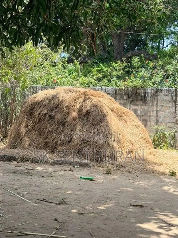 வைக்கோல்