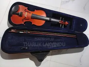 Violin