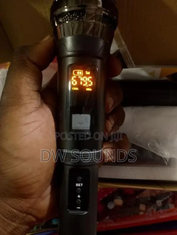 Dual UHF Mic Set