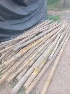 Satalin Sticks