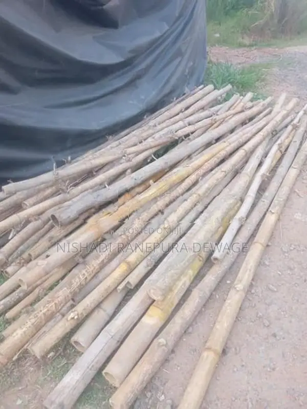Satalin Sticks