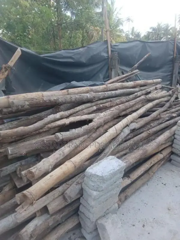 Satalin Sticks
