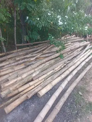 Satalin Sticks