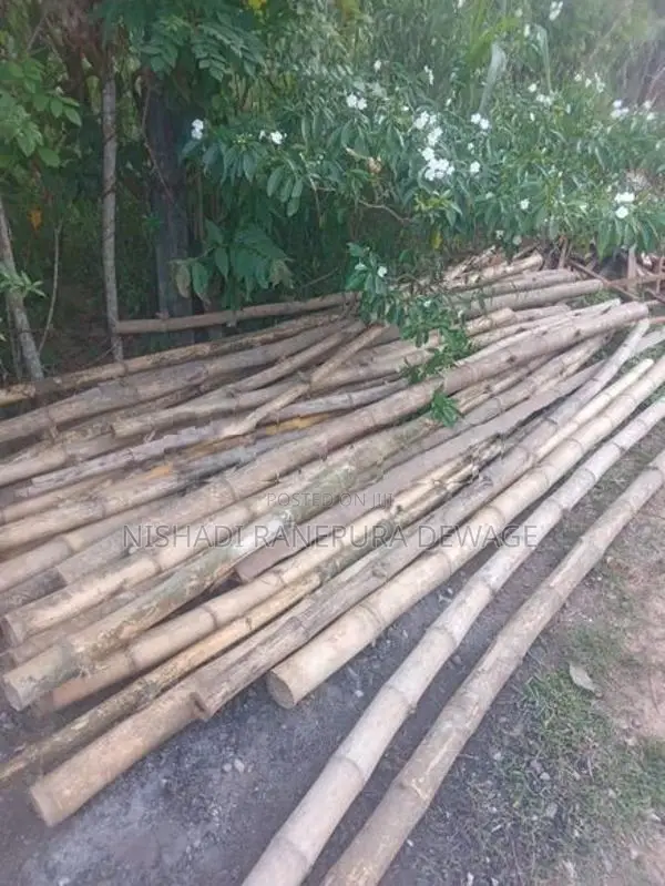 Satalin Sticks