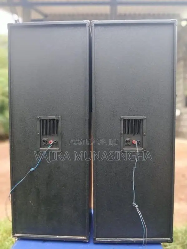 Sinlo 12 Inch Double Top Speakers