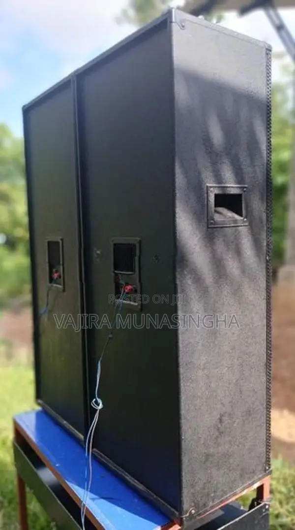 Sinlo 12 Inch Double Top Speakers