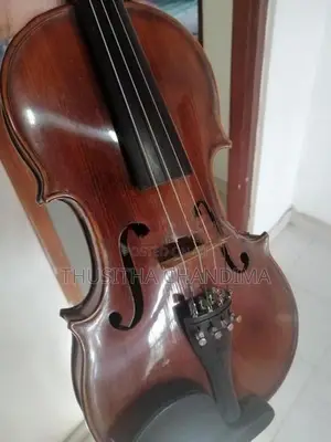 Violin