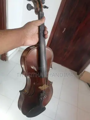 Violin
