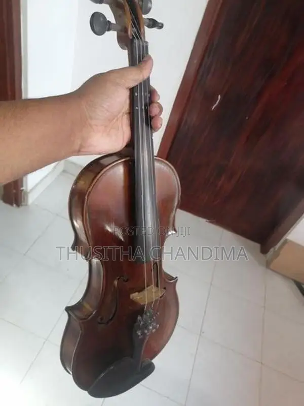 Violin