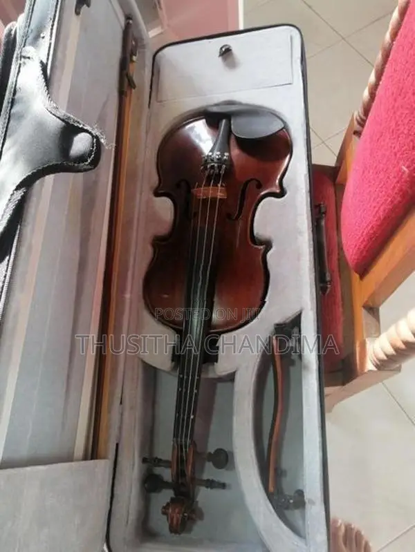 Violin