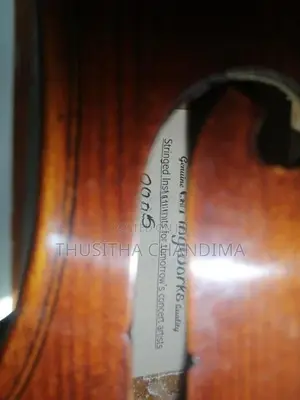Violin