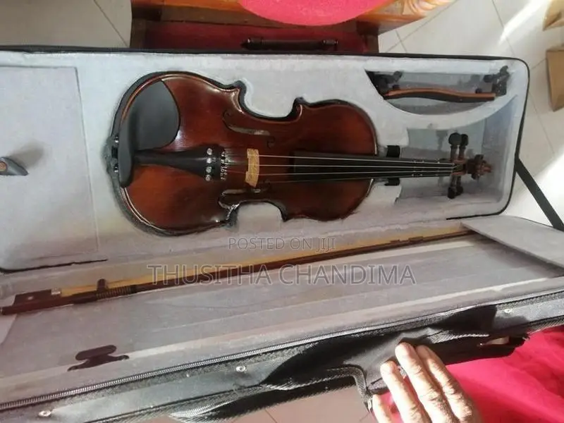 Violin