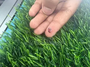 SCC GEMS