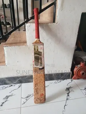 SF cricket bat