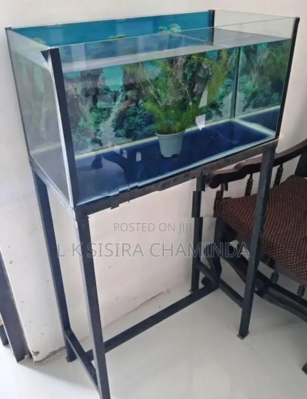 Fish Tank with stand
