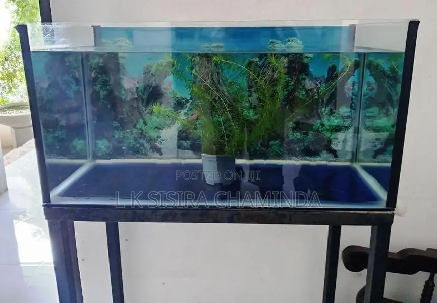 Fish Tank with stand
