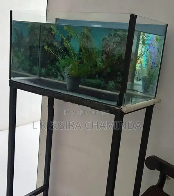Fish Tank with stand