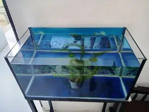 Fish Tank with stand
