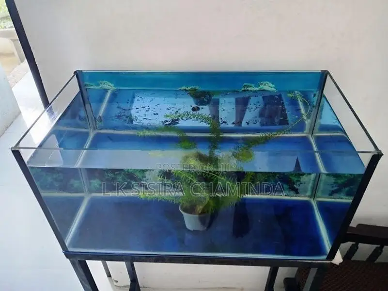 Fish Tank with stand