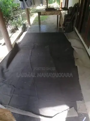 Used Carpet