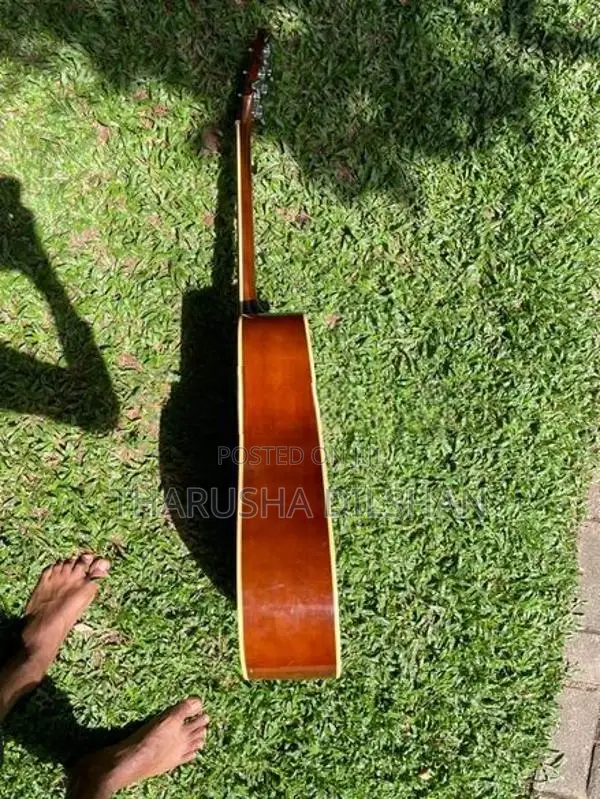 Avilon Acoustic Guitar