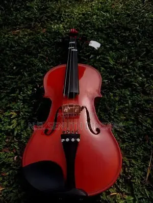 Super Lark Violin