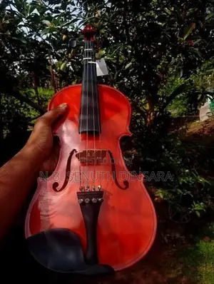 Super Lark Violin