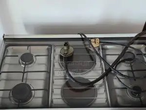 Elba Stainless Steel Gas with Electric Cooker