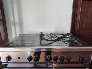 Elba Stainless Steel Gas with Electric Cooker