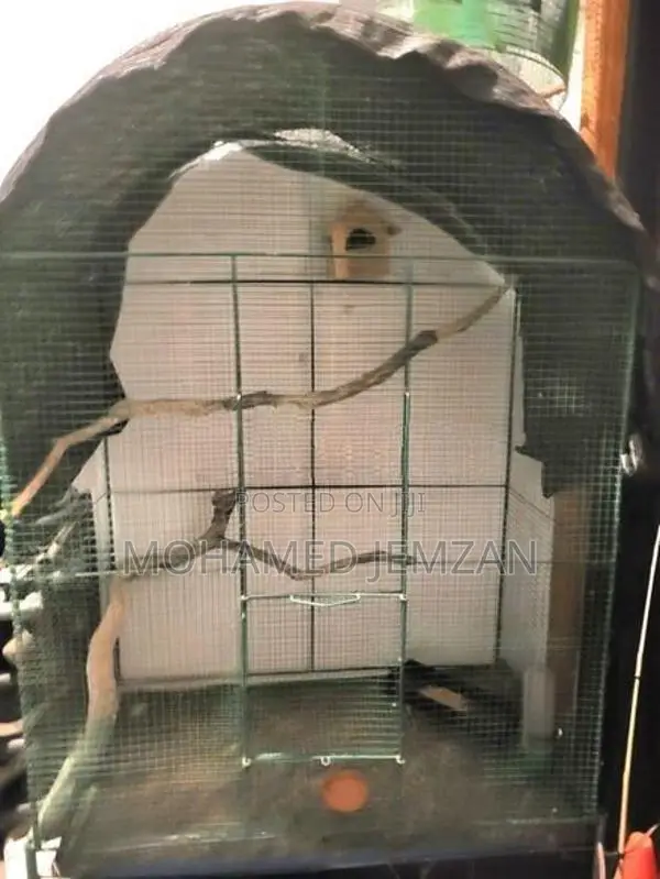 Bird Cage