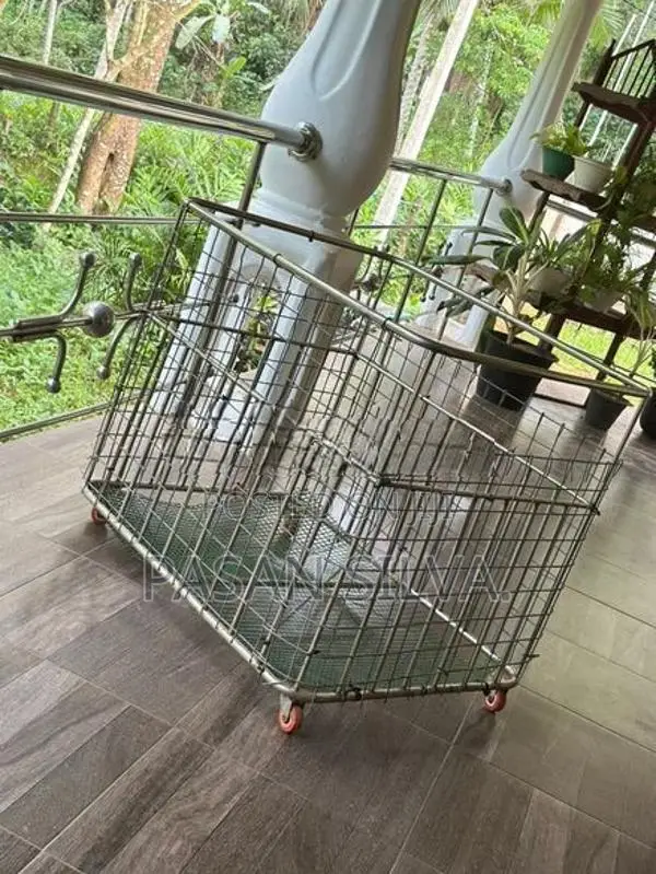 Dog Cage