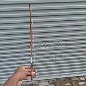 violin (liza)