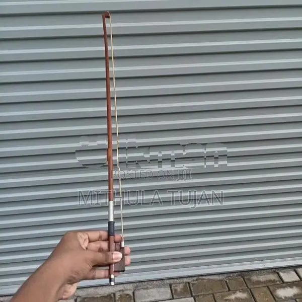 violin (liza)